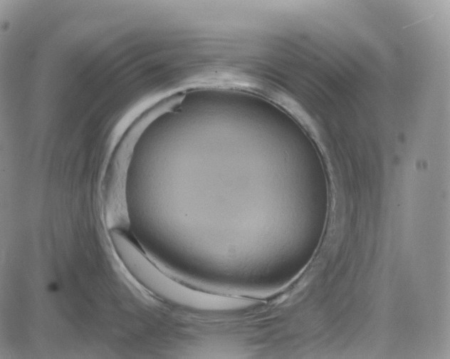 X0000084021344200703022047