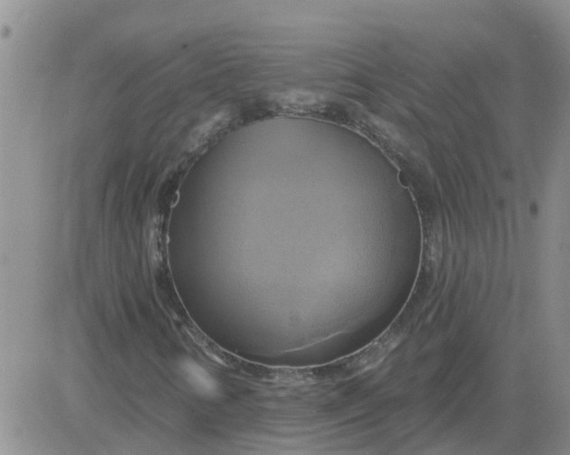 X0000084021346200703022046