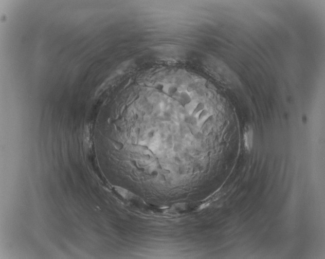 X0000084021347200703022046