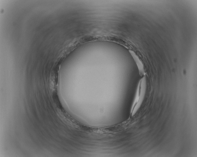 X0000084021348200703022046