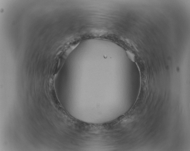 X0000084021349200703022046