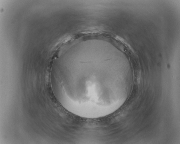 X0000084021350200703022046