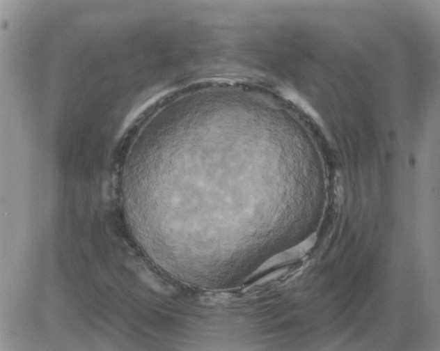 X0000084021352200703022046