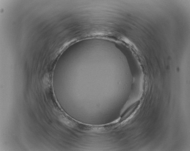 X0000084021353200703022046