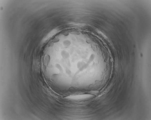 X0000084021354200703022046