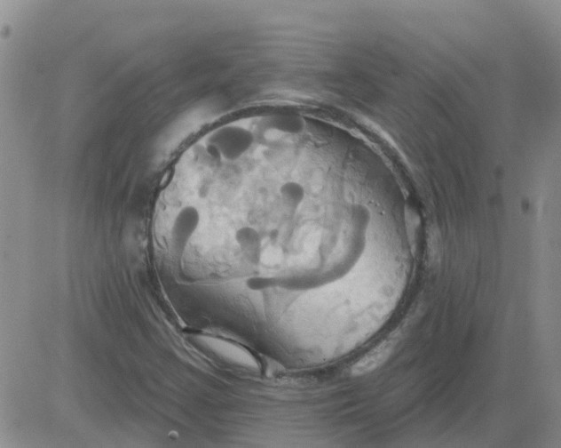 X0000084021355200703022046