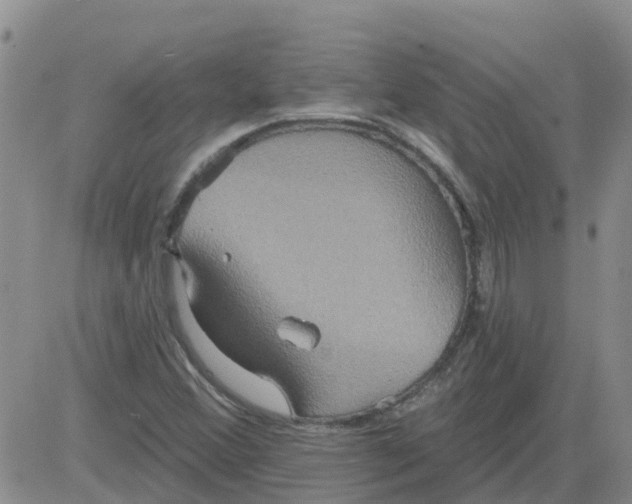 X0000084021356200703022046