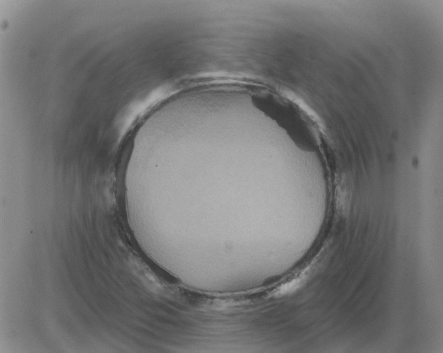 X0000084021357200703022046