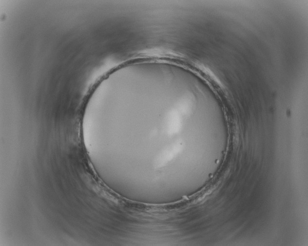 X0000084021358200703022046