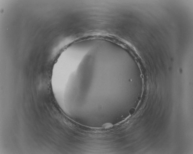 X0000084021359200703022046