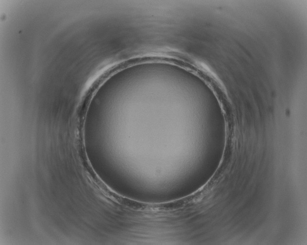 X0000084021360200703022046