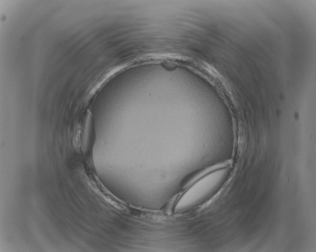 X0000084021361200703022046