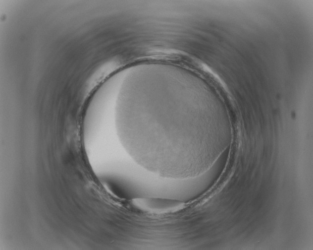 X0000084021362200703022046