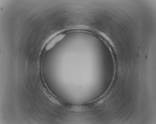 X0000084021364200703022046