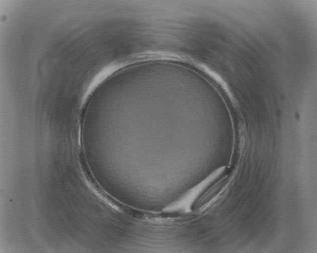 X0000084021365200703022046