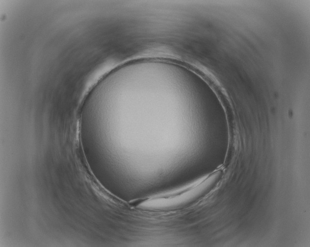 X0000084021366200703022046