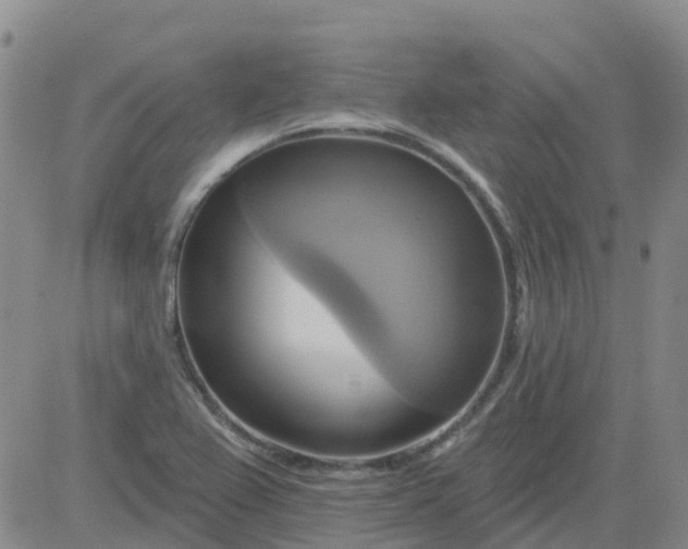 X0000084021367200703022046