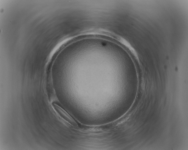 X0000084021368200703022046