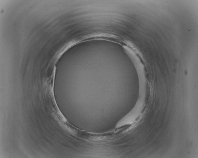 X0000084021369200703022046