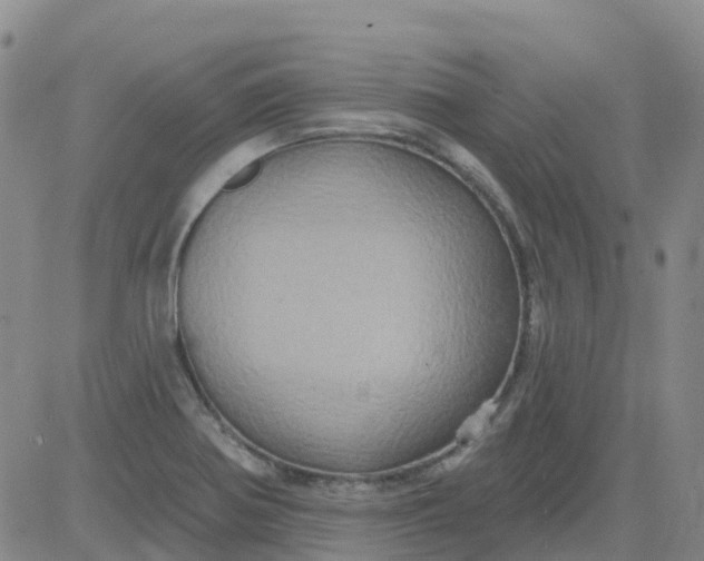 X0000084021370200703022046