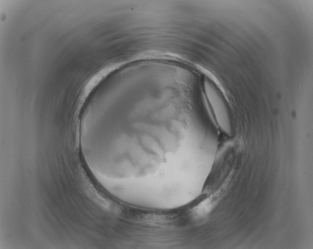 X0000084021371200703022046