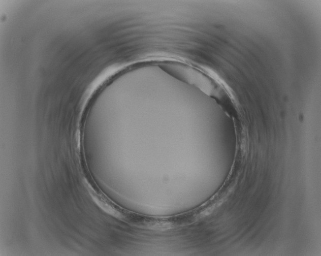 X0000084021372200703022046