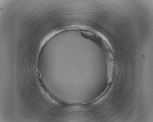 X0000084021373200703022046