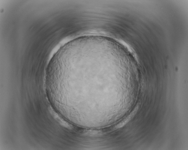 X0000084021374200703022046