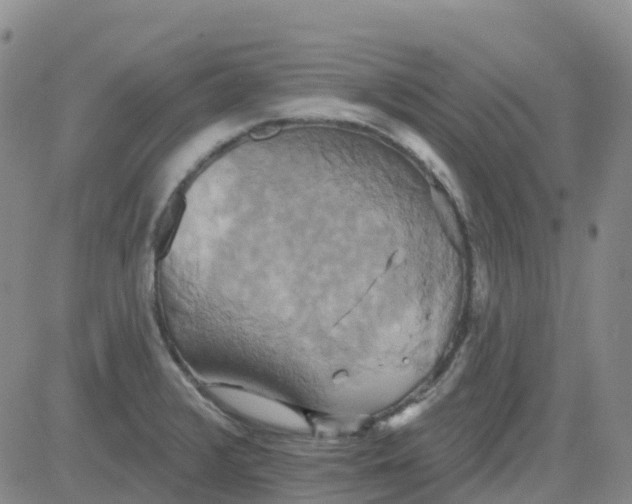 X0000084021376200703022046