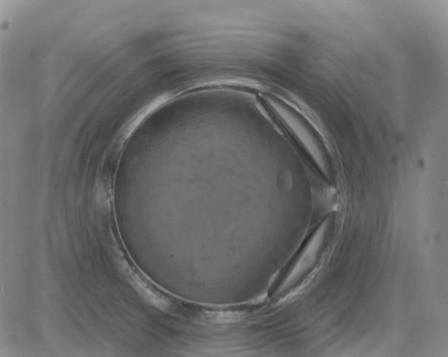 X0000084021377200703022046