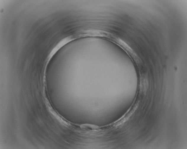 X0000084021378200703022046