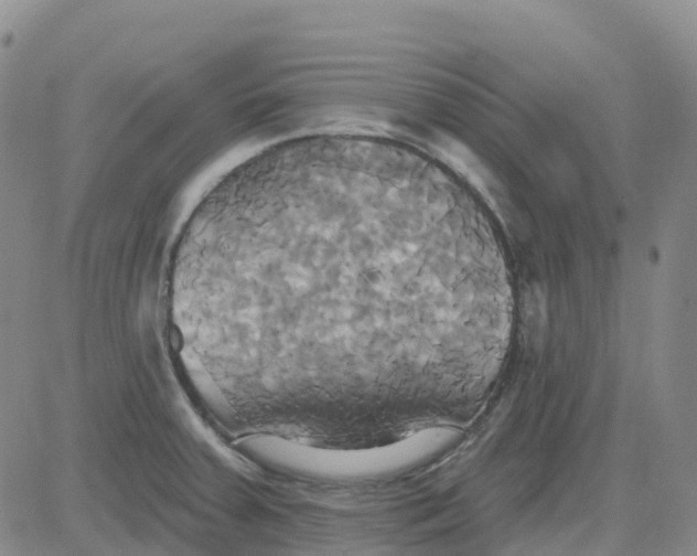 X0000084021379200703022046