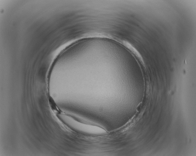 X0000084021380200703022046