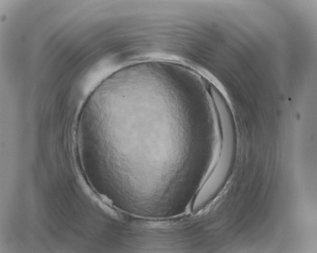 X0000084021381200703022046