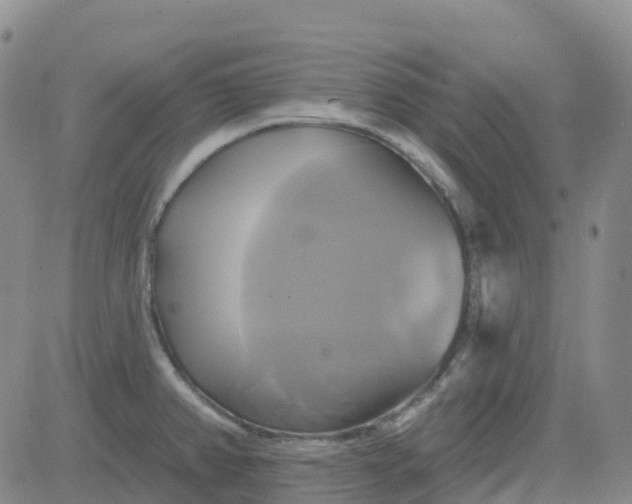 X0000084021382200703022046