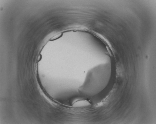 X0000084021383200703022046