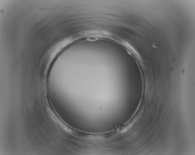 X0000084021384200703022046