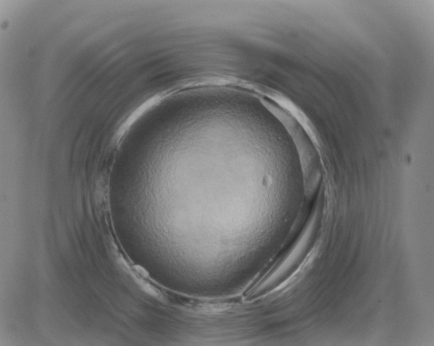 X0000084021385200703022046