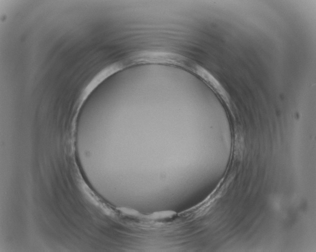 X0000084021386200703022046