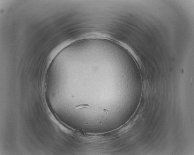 X0000084021387200703022046