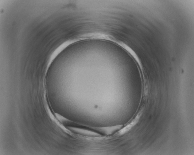 X0000084021389200703022046