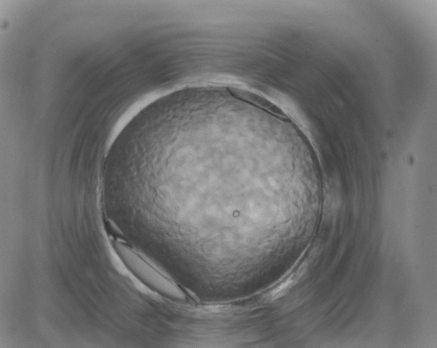 X0000084021390200703022046