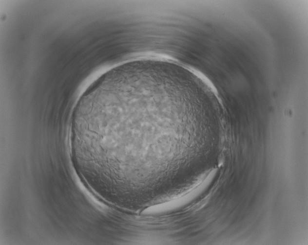 X0000084021391200703022046