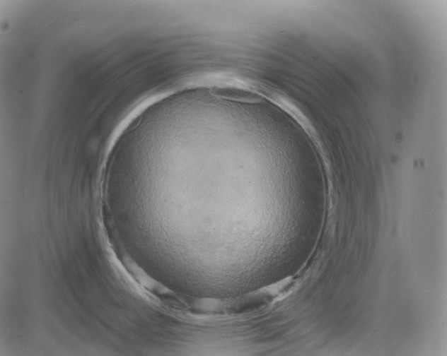 X0000084021392200703022046