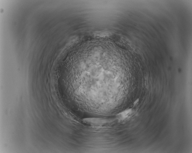 X0000084021393200703022045