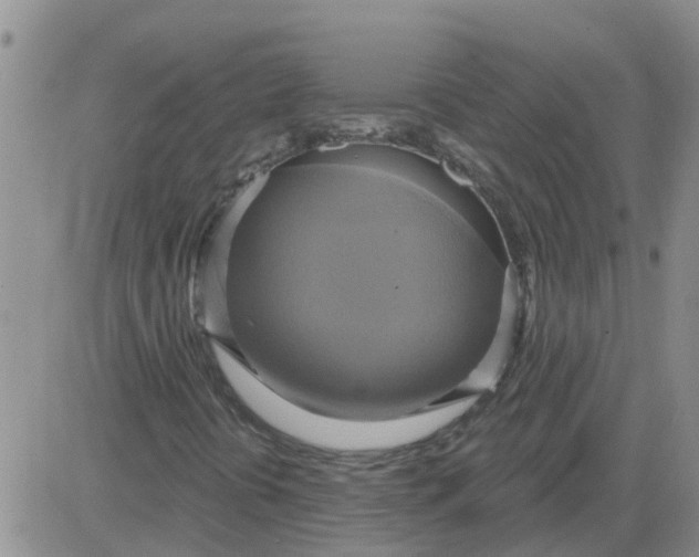 X0000084021394200703022045