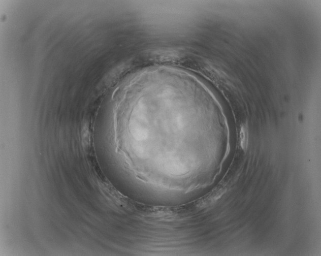 X0000084021395200703022045