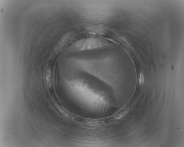 X0000084021396200703022045