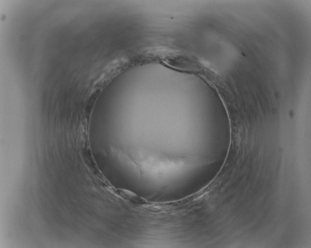 X0000084021397200703022045