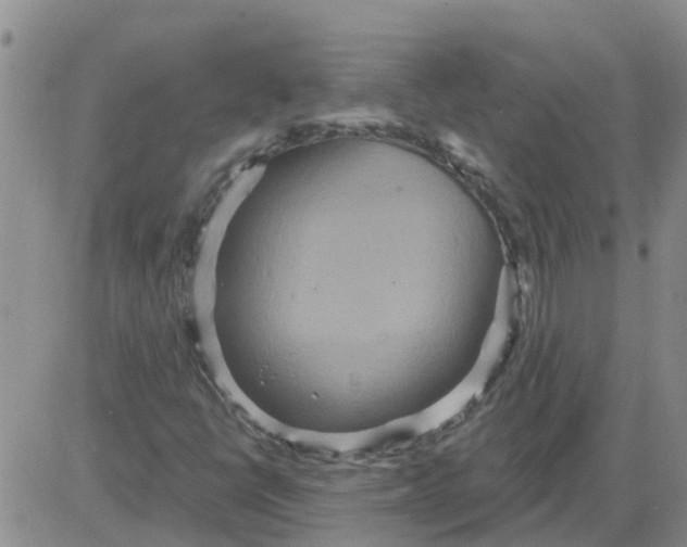 X0000084021398200703022045